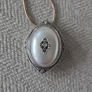 Delicate Silver Tone Women's Necklace And Broach with Lobster Clasp